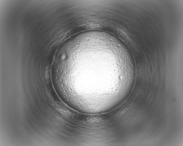 X0000056030549200509092208