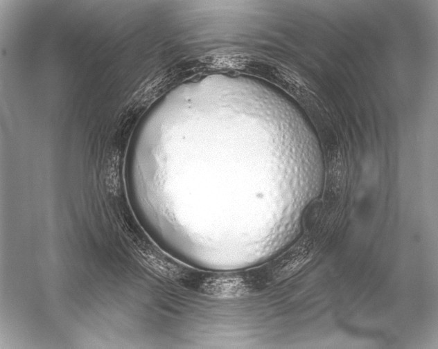 X0000056030554200509092208