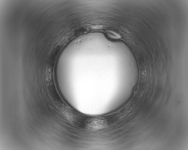 X0000056030555200509092208