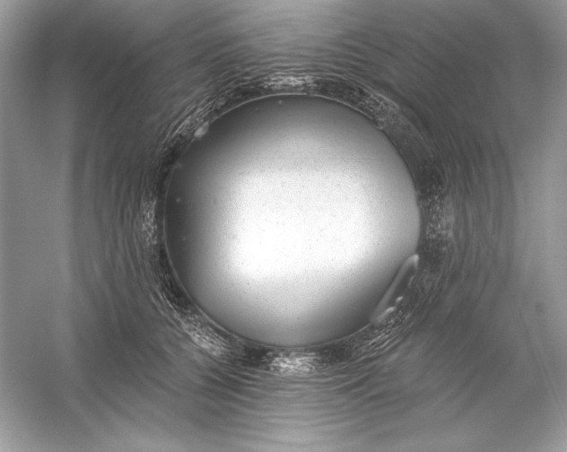 X0000056030560200509092208