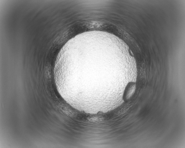 X0000056030561200509092208