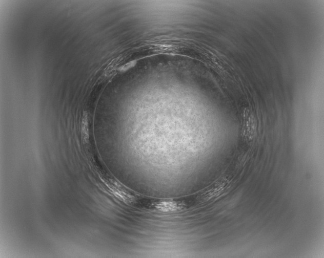 X0000056030562200509092208