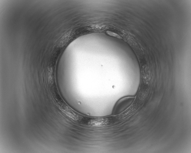 X0000056030563200509092208