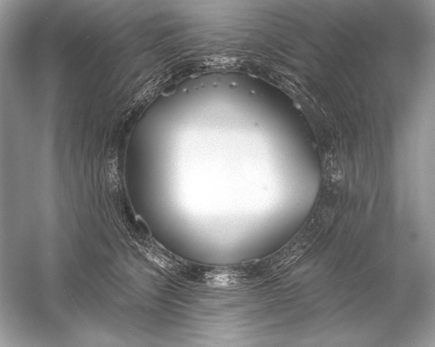 X0000056030564200509092208