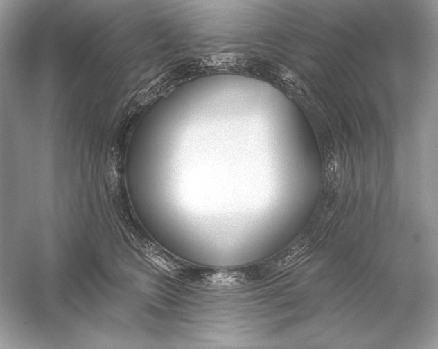 X0000056030566200509092208