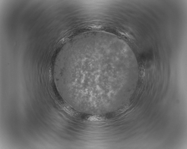 X0000056030568200509092208