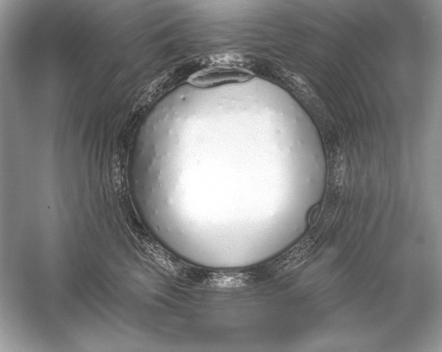 X0000056030569200509092208