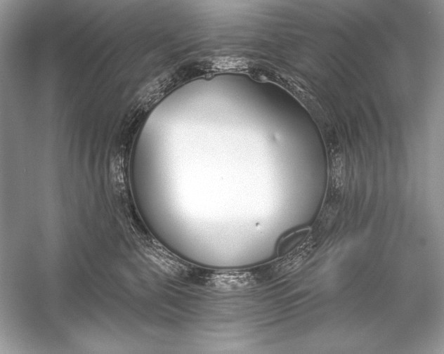 X0000056030571200509092208