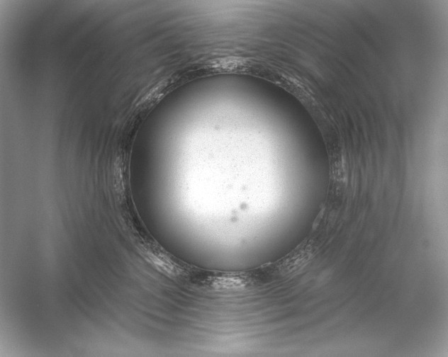 X0000056030572200509092208