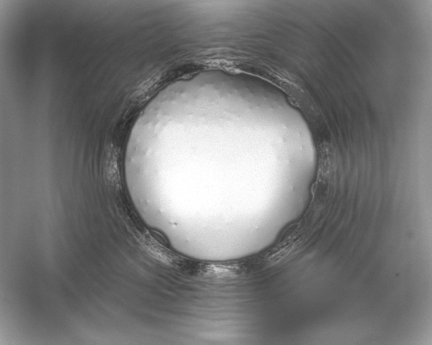 X0000056030573200509092208