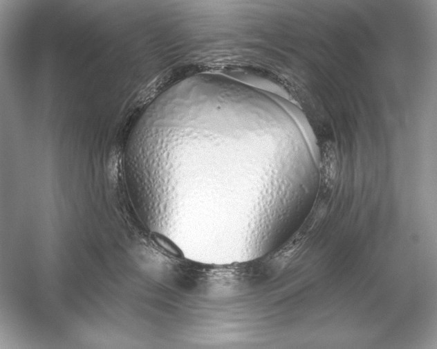 X0000056030574200509092208