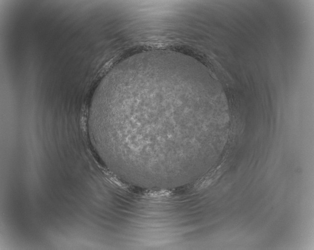 X0000056030576200509092208