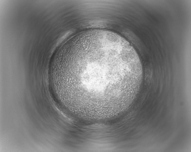 X0000056030578200509092207