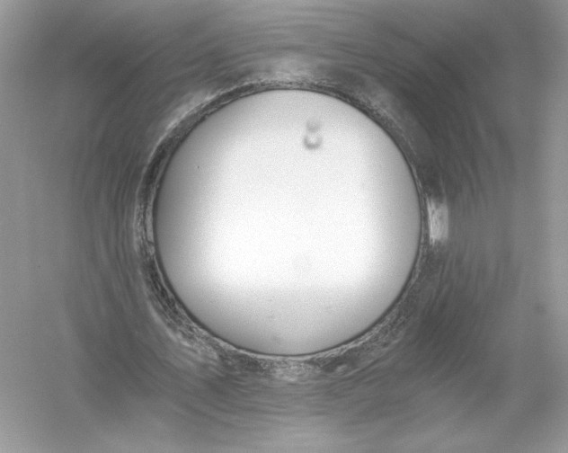 X0000056030579200509092207