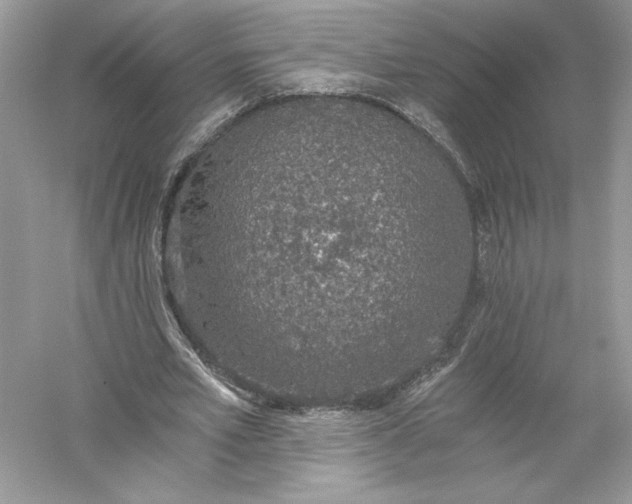 X0000056030581200509092207