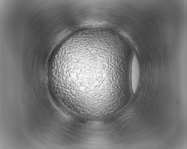 X0000056030582200509092207