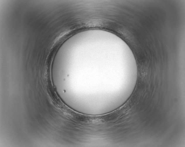 X0000056030583200509092207