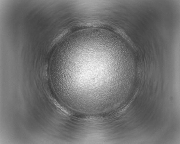 X0000056030585200509092207