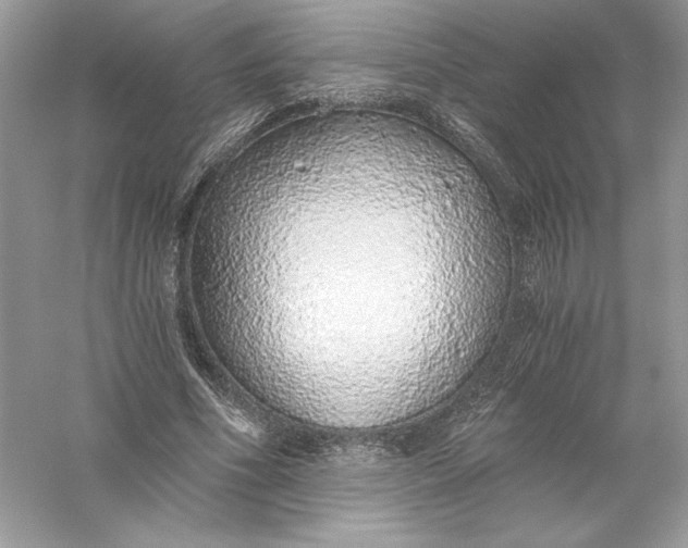 X0000056030586200509092207