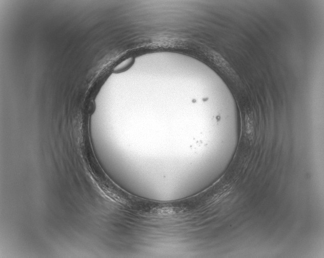 X0000056030588200509092207