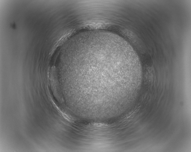 X0000056030590200509092207