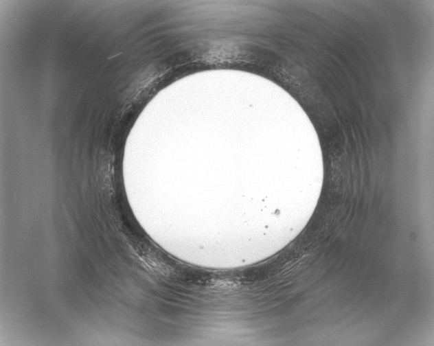 X0000056030592200509092207