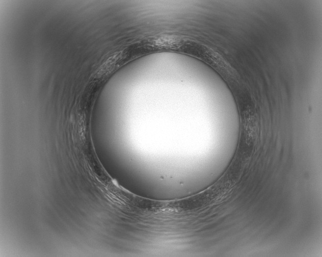 X0000056030593200509092207