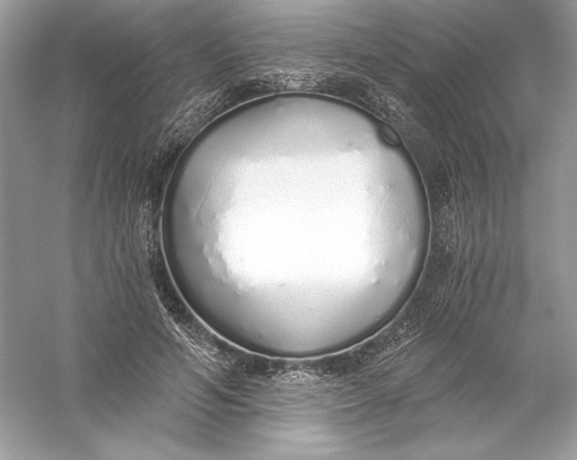 X0000056030594200509092207