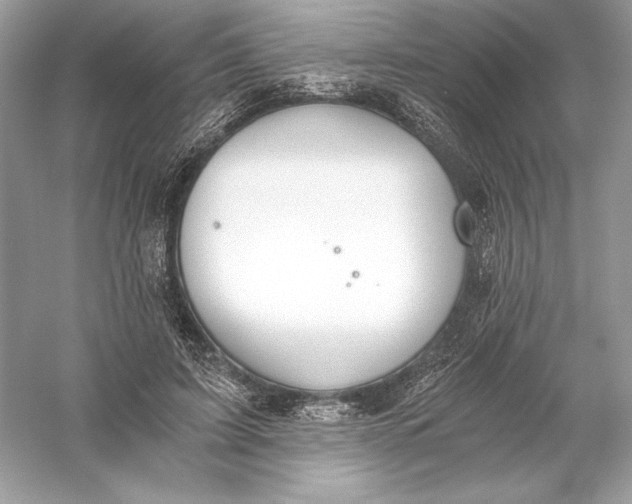 X0000056030595200509092207