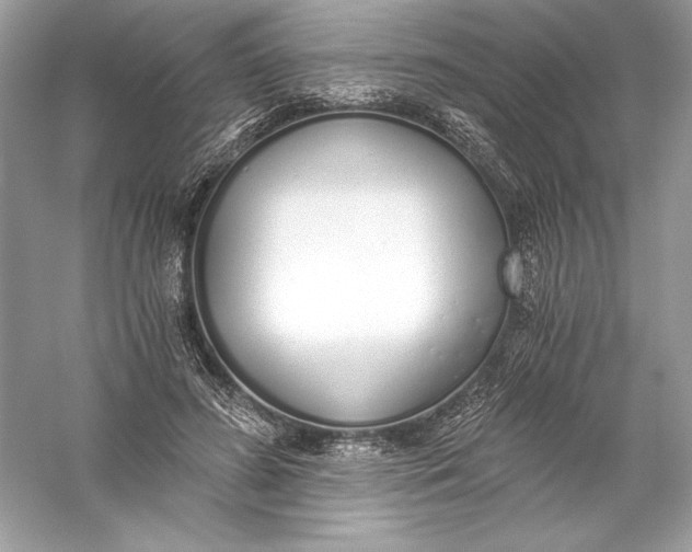 X0000056030596200509092207