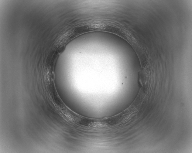 X0000056030597200509092207