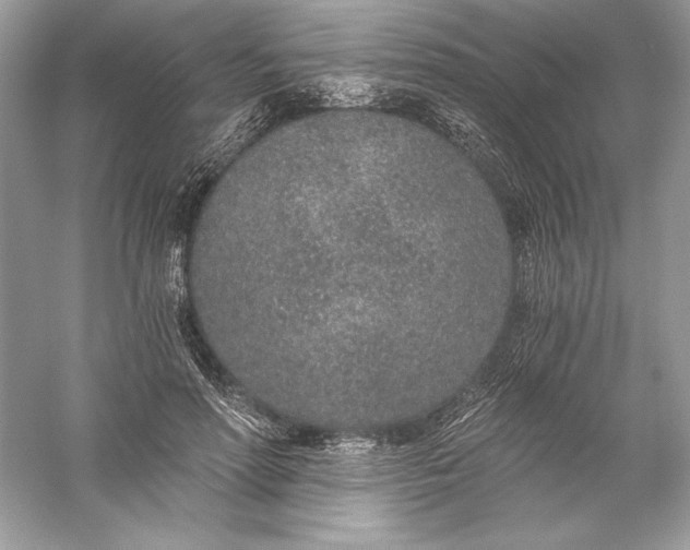 X0000056030598200509092207