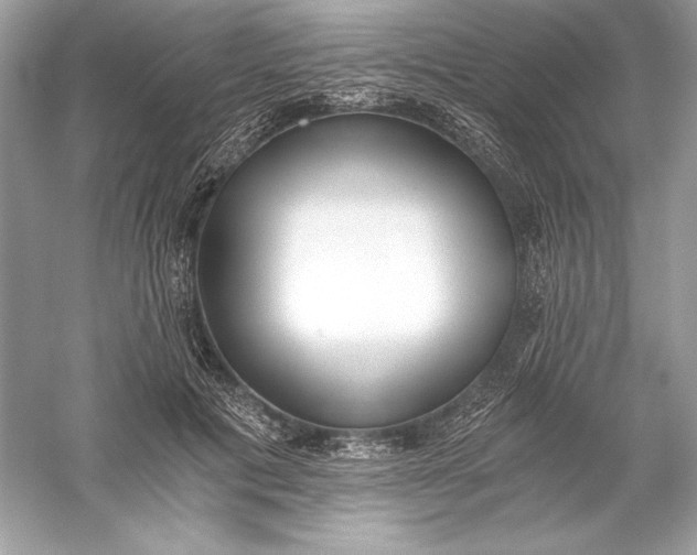 X0000056030601200509092207