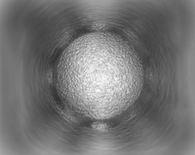 X0000056030602200509092207