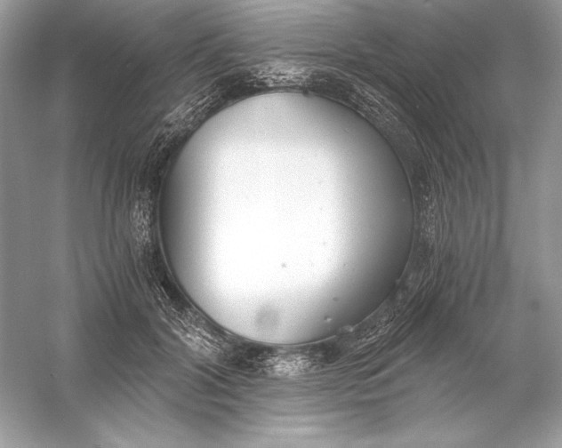 X0000056030604200509092207