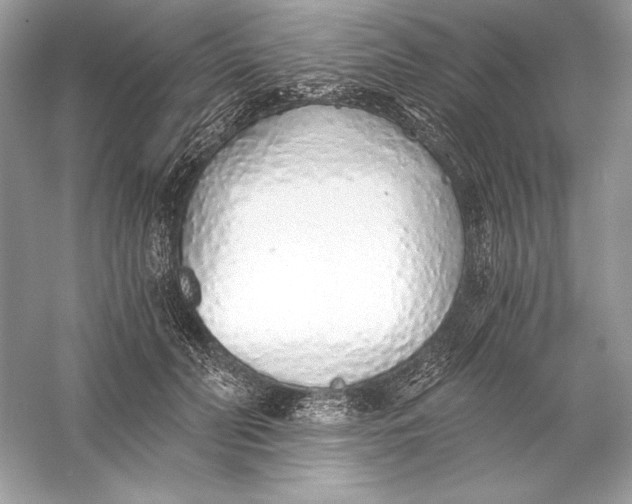 X0000056030606200509092207