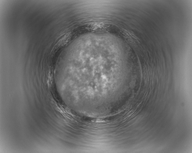 X0000056030607200509092207