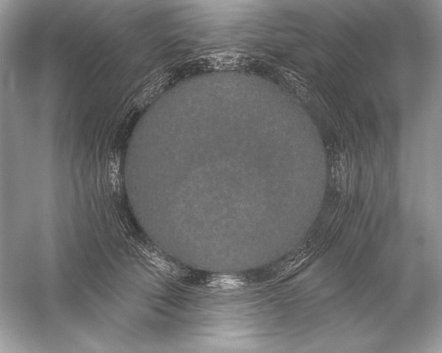 X0000056030610200509092207