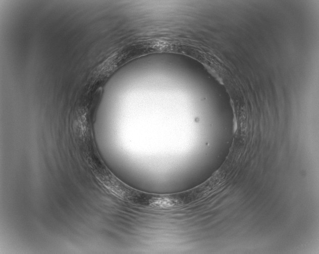 X0000056030611200509092207