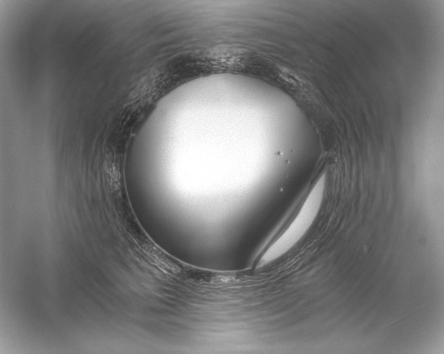 X0000056030613200509092207