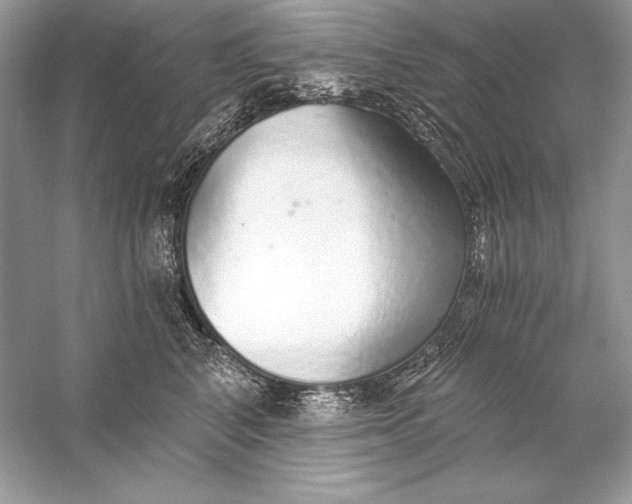 X0000056030616200509092207