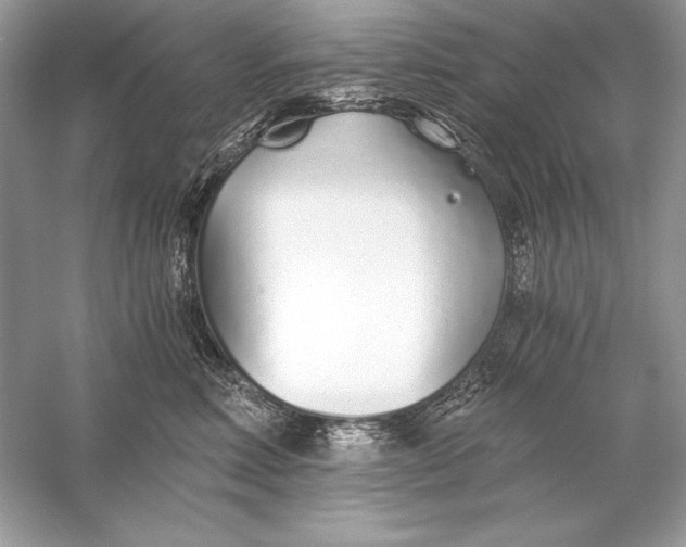 X0000056030618200509092207