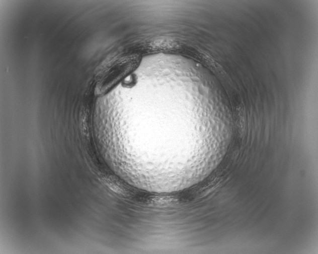 X0000056030619200509092207