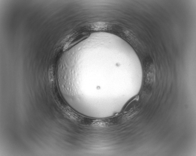 X0000056030620200509092207