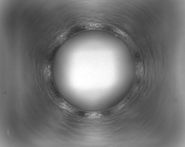 X0000056030621200509092207