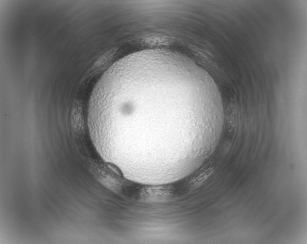 X0000056030622200509092207