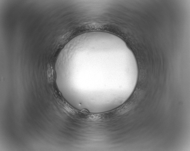 X0000056030624200509092207