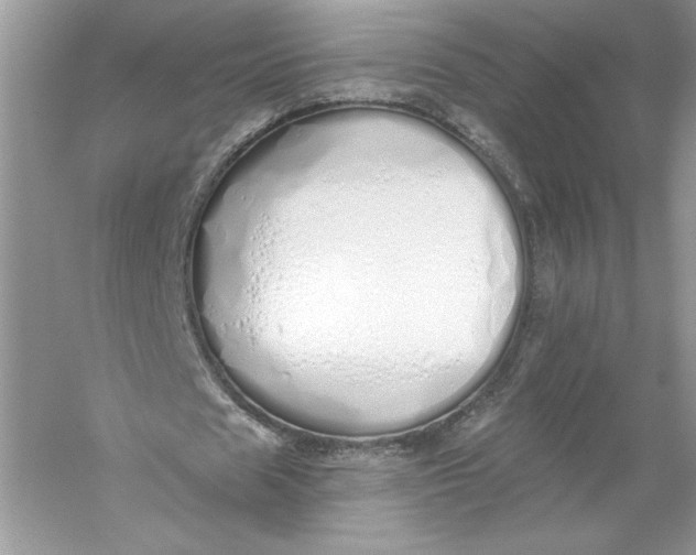 X0000056030625200509092206