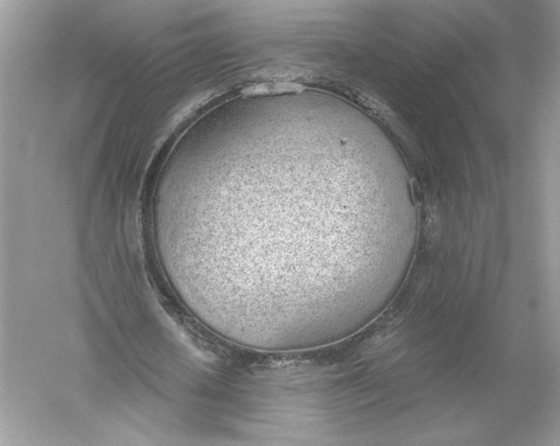 X0000056030626200509092206