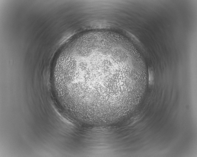 X0000056030627200509092206